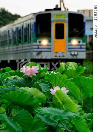 蓮と久留里線 1292266