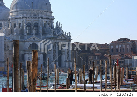 snap -venice- snap -venice- 1293325