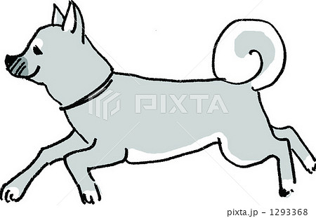 芝犬のイラスト素材 1293368 Pixta