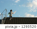 晩夏の虫取り 1293520