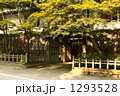 古びた民家 1293528