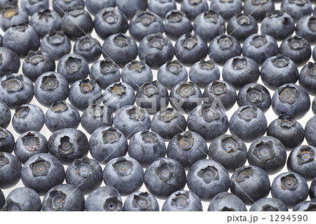 ブルーベリー 1294590