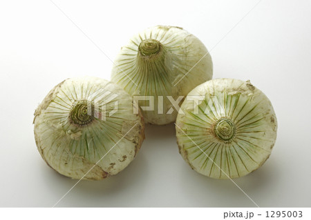 新玉葱 新玉葱 1295003