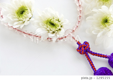 数珠と白菊 1295155
