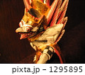 ガルーダ 1295895