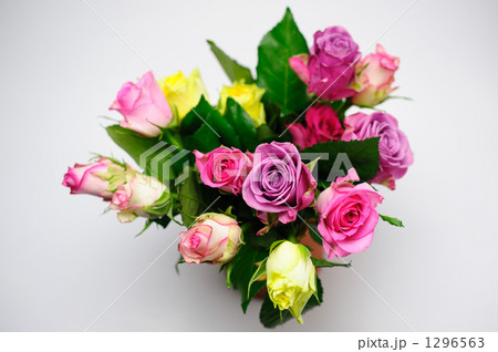 薔薇 薔薇 1296563