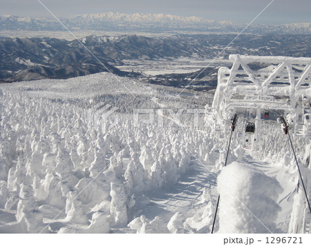 晴天時の樹氷原 晴天時の樹氷原 1296721
