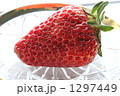 春　苺 1297449