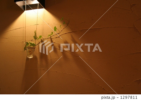 ルームライト 1297811