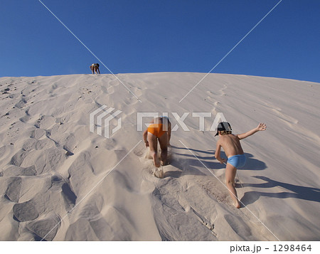 砂丘を登る子供たち 砂丘を登る子供たち 1298464