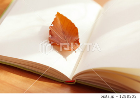 読書 1298505