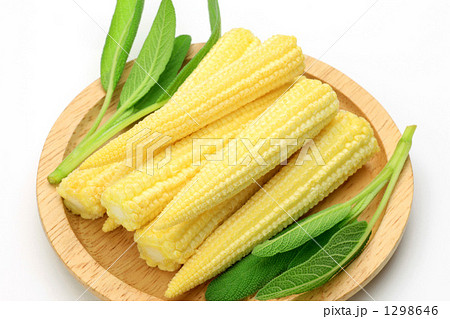 ヤングコーン ヤングコーン 1298646