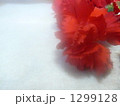 1299128