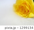 1299134