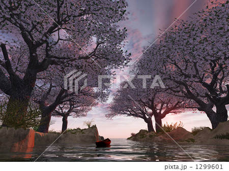 朝日の中の満開の桜 1299601