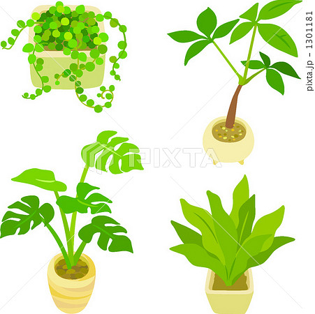 植物のイラスト素材