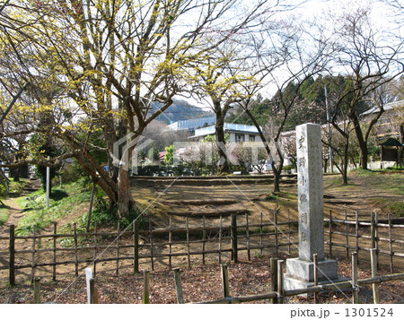 小仏関跡の春 1301524