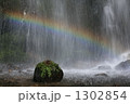 滝 1302854