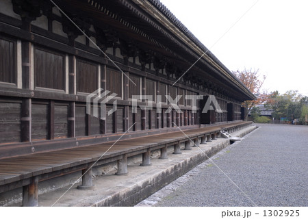 蓮華王院本堂 三十三間堂 1302925