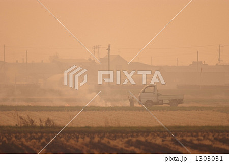 焼畑農業 1303031