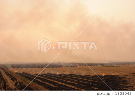 焼畑農業 1303042
