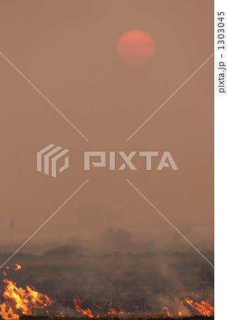 焼畑農業 1303045