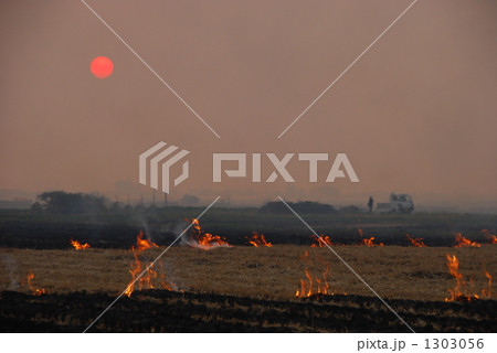 焼畑農業 1303056