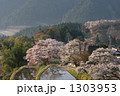 三多気の桜 1303953