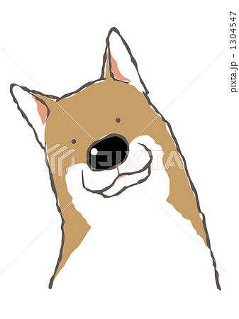 首をかしげる柴犬のイラスト素材