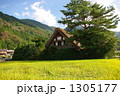 白川郷です 1305177