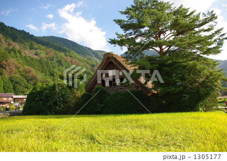 白川郷です 1305177