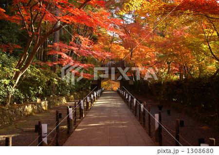 光明寺 光明寺 1308680