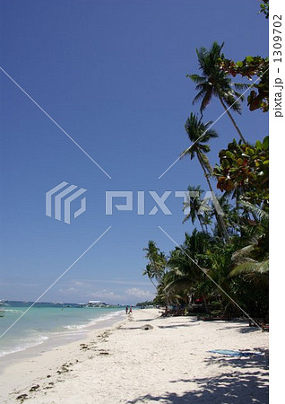 フィリピン・ボホール島 アロナビーチ フィリピン・ボホール島 アロナビーチ 1309702