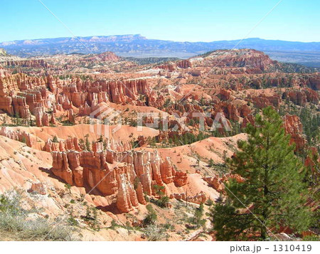 ブライスキャニオン国立公園 1310419