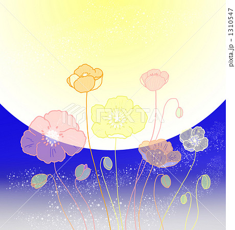 春夜に光るお月さまとポピー 1310547