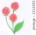 赤い花 1312452