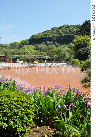 海地獄 地獄めぐり 海地獄 地獄めぐり 1313362