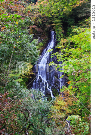 秋の龍双ヶ滝 1315015
