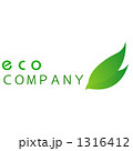 ロゴ エコ 1316412