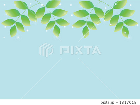 新緑 新緑 1317018