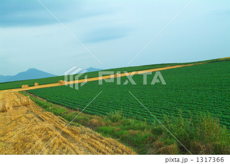 田園風景 田園風景 1317366