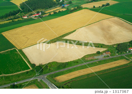 田園風景 田園風景 1317367