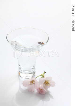 冷酒でお花見 1318178