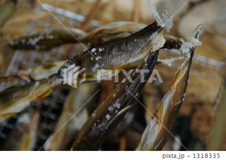 若鮎の炭火焼 1318335