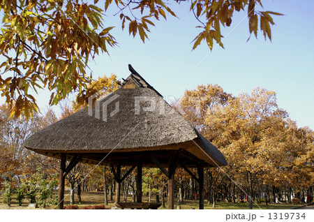 晩秋の川中島古戦場 1319734