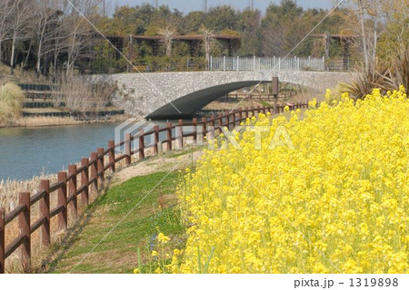 はーるの小川はさらさら行くのかな？ 1319898