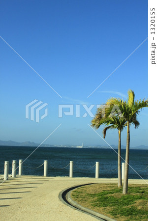 沖縄 沖縄 1320155