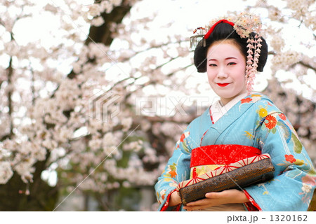 桜と舞妓 桜と舞妓 1320162