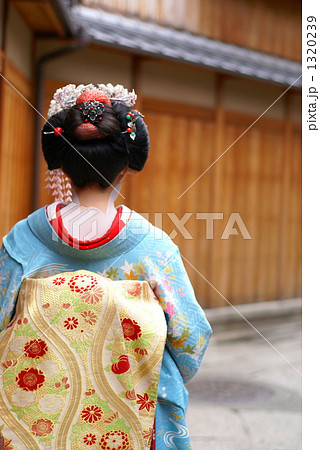 舞妓 舞妓 1320239