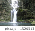 1320313